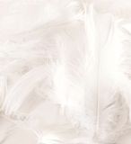 Eleganza Feathers Mixed sizes 3inch-5inch 50g bag White No.01 - Accessories